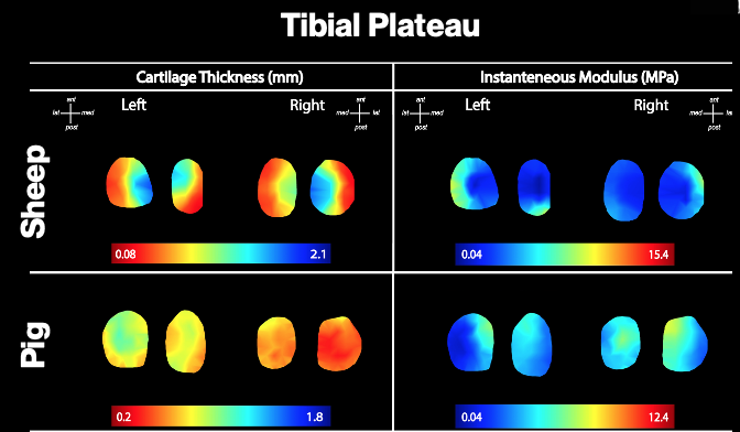 Thickness and Modulus Mapping