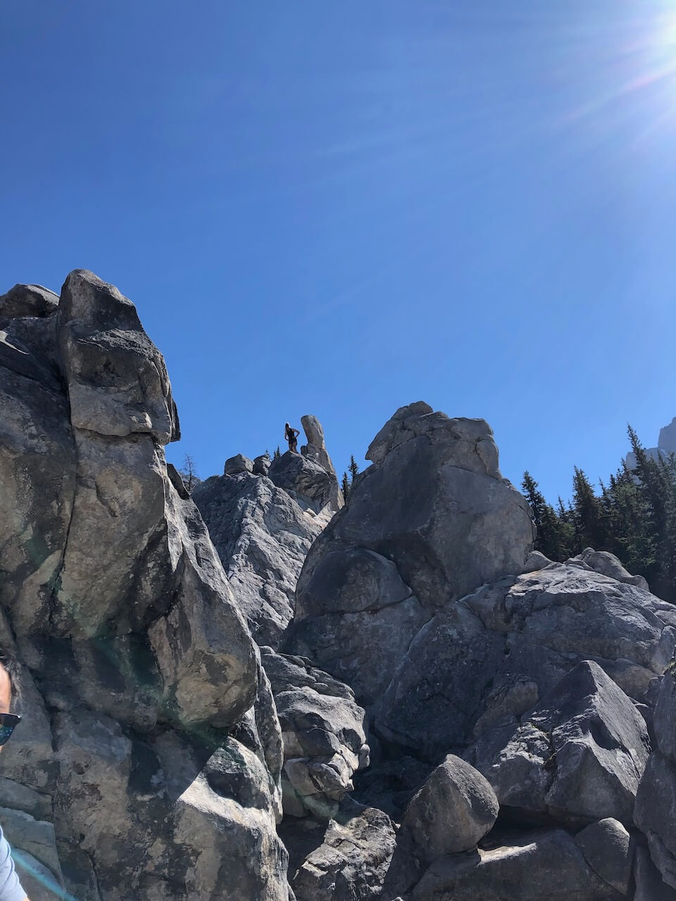 Lab hike 2022